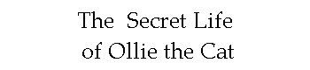 The  Secret Life
 of Ollie the Cat